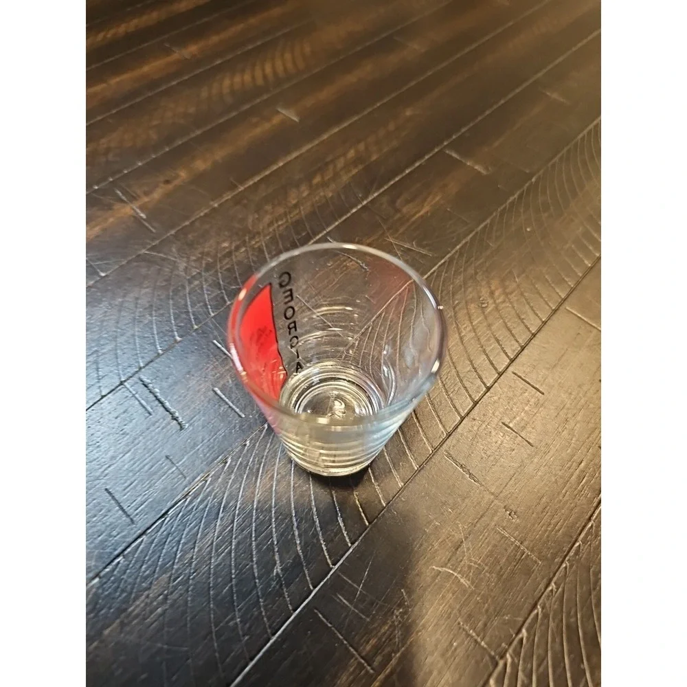The Unbranded Brand vintage georgia